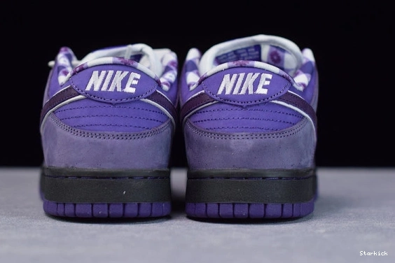Purple Nike Lobster Dunk BV1310-555 Low SB Concepts 1231